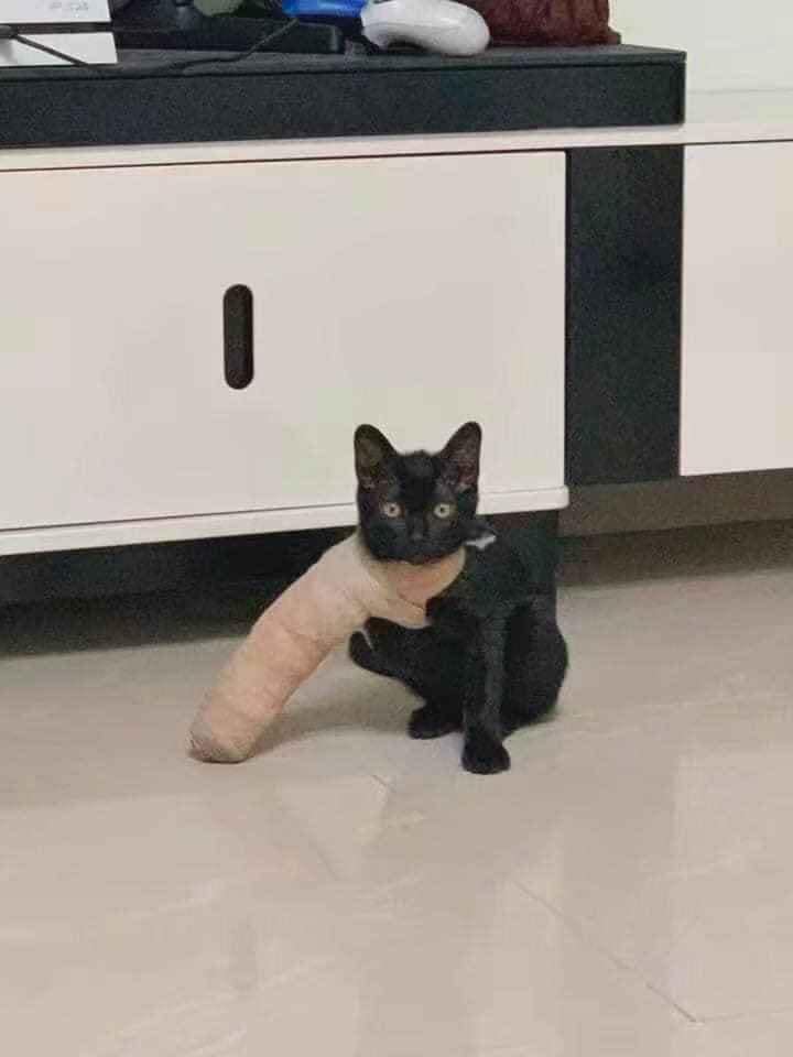 Các cháu thấy bà có ngầu khônggg.jpg