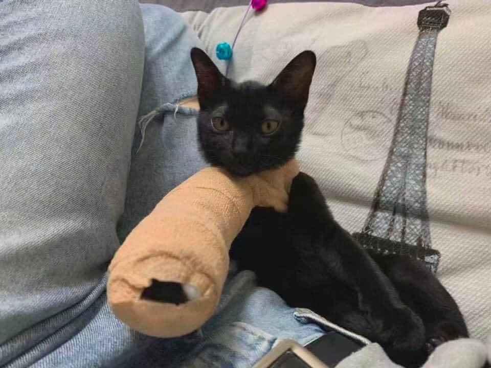 Đưa tay cho tôiii.jpg