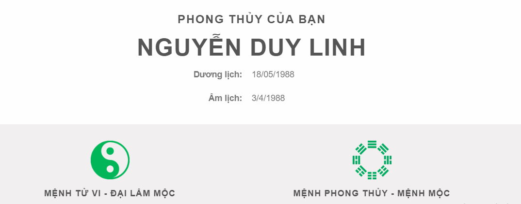Nguyễn Duy Linh.png