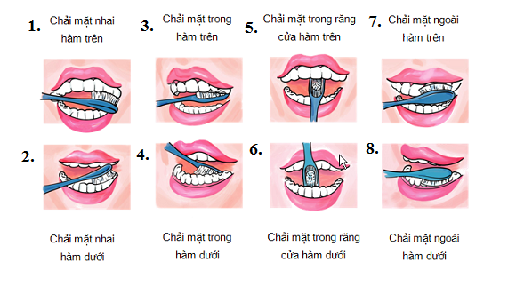 huong-dan-cach-danh-rang-dung-cach.png