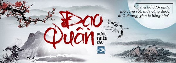 đạo quân 2.jpg