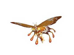 Hồ Điệp Tinh Linh.gif