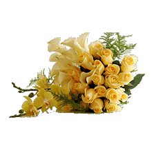 Hoa Hồng Vàng.png