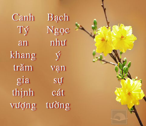 cau doi - tieu dich anh 1.png