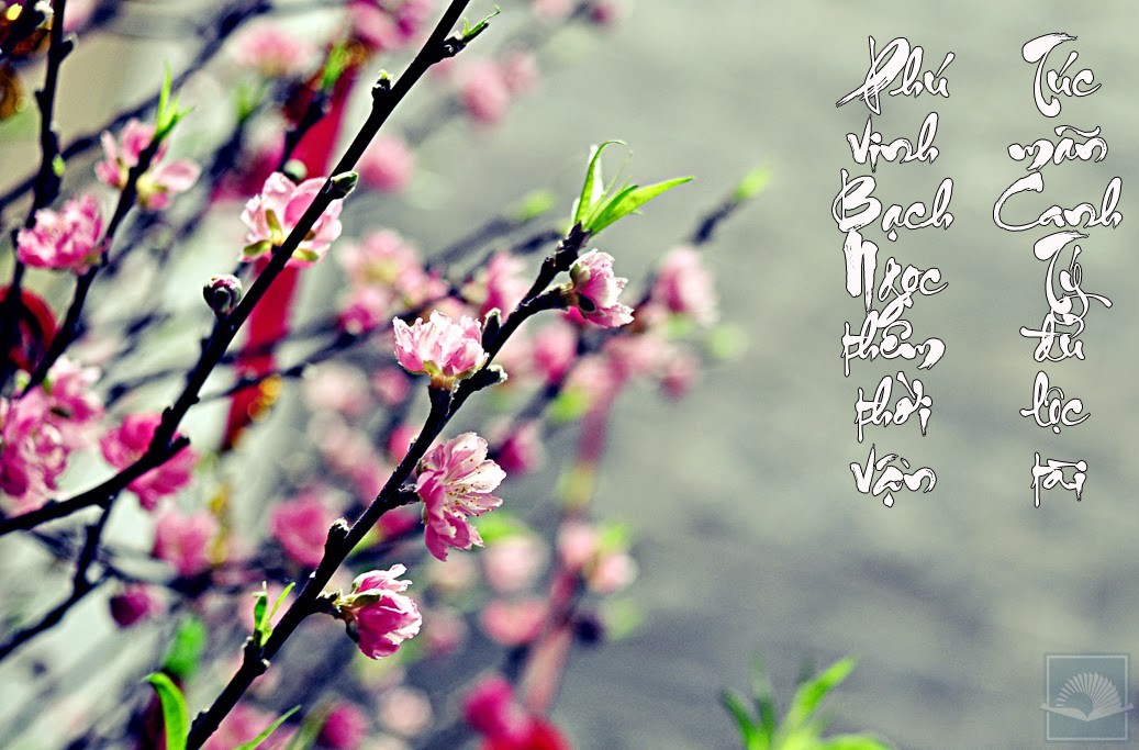 cau doi - nen hoa dao.png