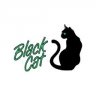 theblackcat