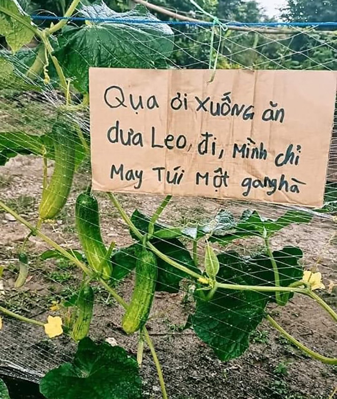 Đọc cổ tích Việt Nam nhưng "sai" phiên bản.