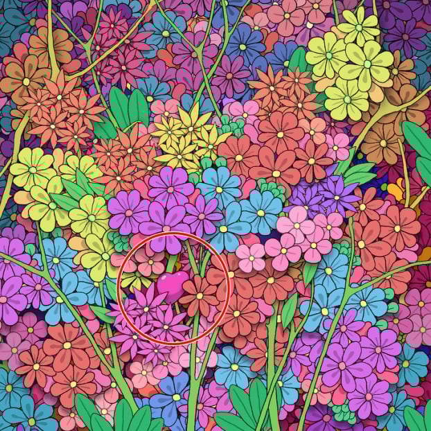 Câu đố: Tìm đồ vật bị giấu trong 15 bức tranh thử tài quan sát của bạn 18