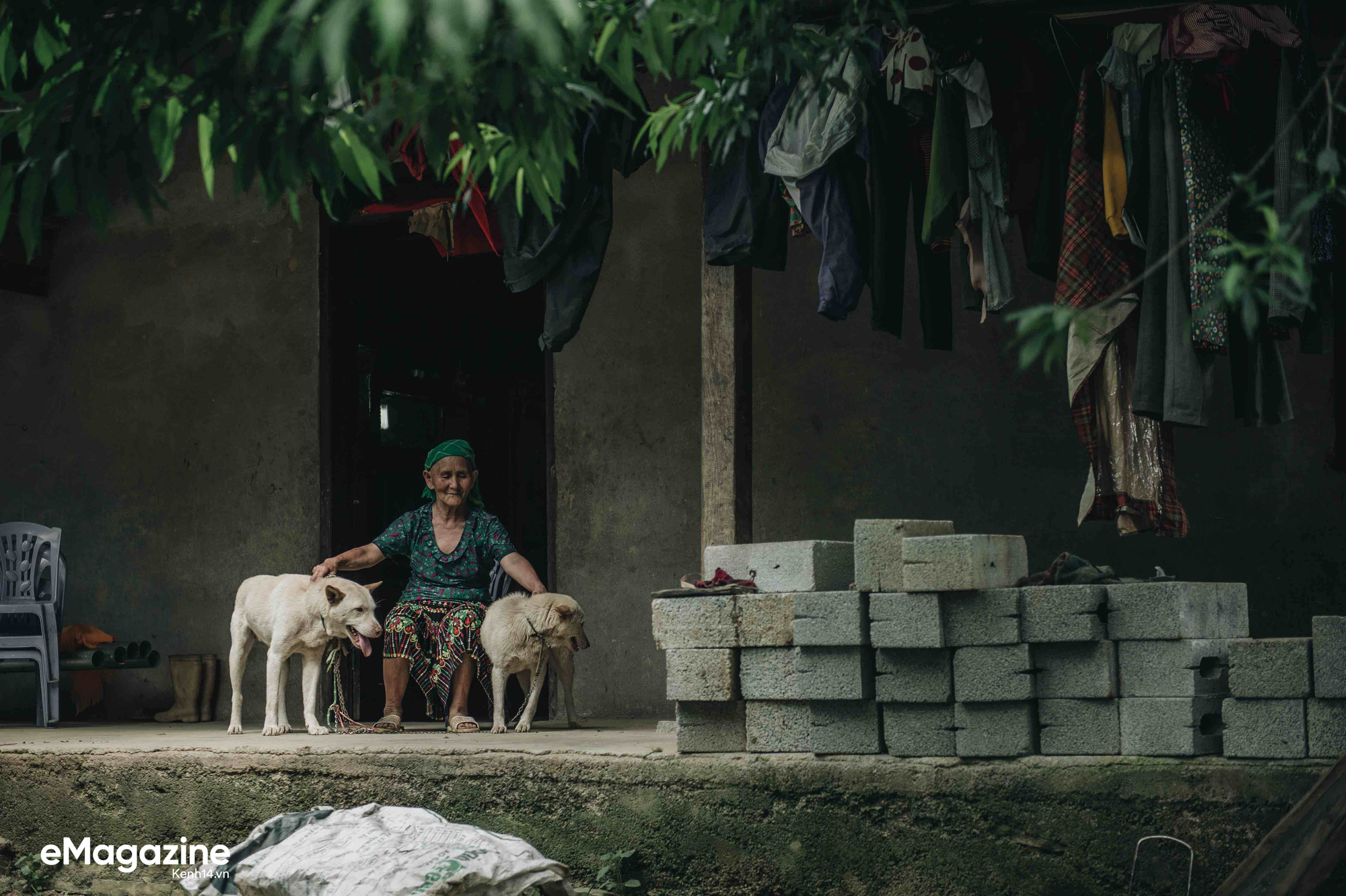 Cuộc đoàn tụ của cụ bà và con chó Cưng ở Hà Giang: Chó về rồi, bà không khóc nữa - Ảnh 4.
