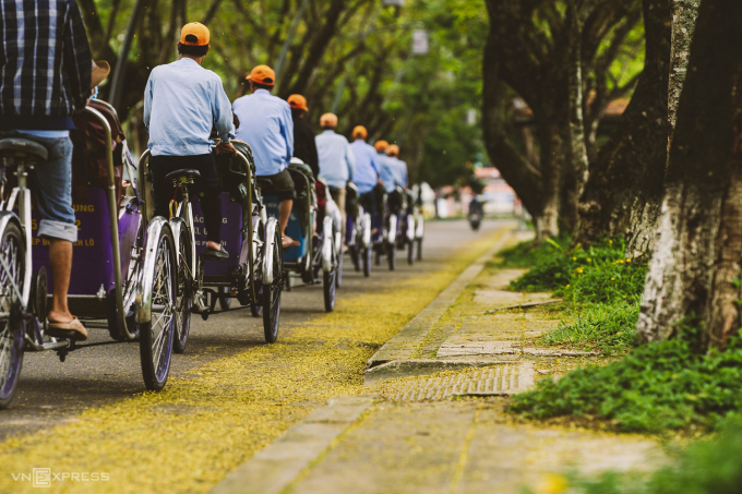 Mùa lá phượng bay cuối thu ở Huế
