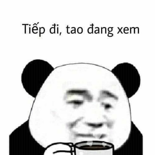 Tổng hợp 100+ meme gấu trúc bựa, hài, ngộ nghĩnh, đáng yêu, tức giận