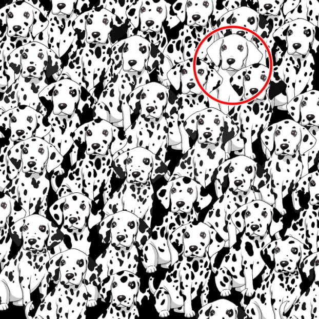 Câu đố: Tìm đồ vật bị giấu trong 15 bức tranh thử tài quan sát của bạn 21