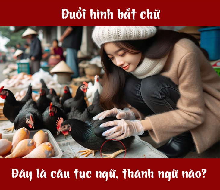 IQ cao có đoán được đây là câu tục ngữ, thành ngữ gì? (P111)- Ảnh 1.