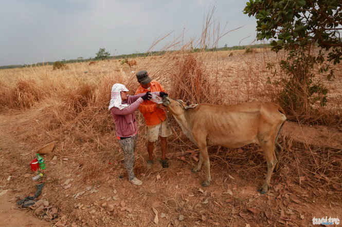 Nông dân, những người đóng thuế để VASS có thể hoạt động tốt, được hưởng lợi gì từ những công trình nghiên cứu của VASS? -Tiến Thành