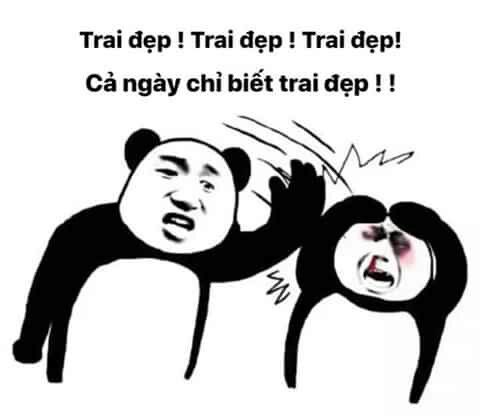 Meme học: Ở đây chúng tôi có meme gấu trúc | Vietcetera