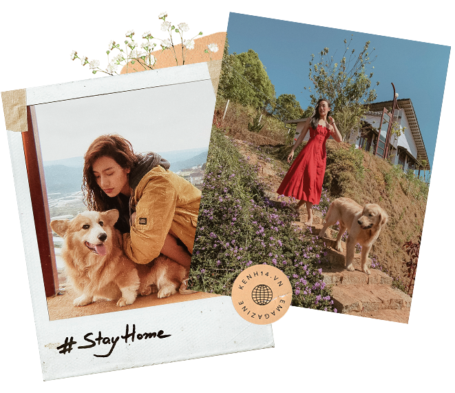 Bạn không cần phải đi khắp thế giới trong năm nay, bởi Việt Nam đẹp tuyệt và Việt Nam cần bạn! - Ảnh 7.