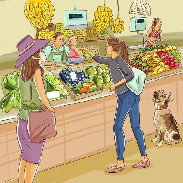 Câu đố: Tìm tất cả các chi tiết sai trong 5 bức tranh 5