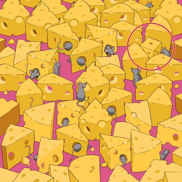 Câu đố: Tìm đồ vật bị giấu trong 15 bức tranh thử tài quan sát của bạn 27