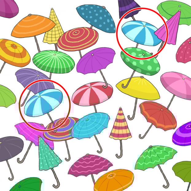 Câu đố: Tìm đồ vật bị giấu trong 15 bức tranh thử tài quan sát của bạn 23