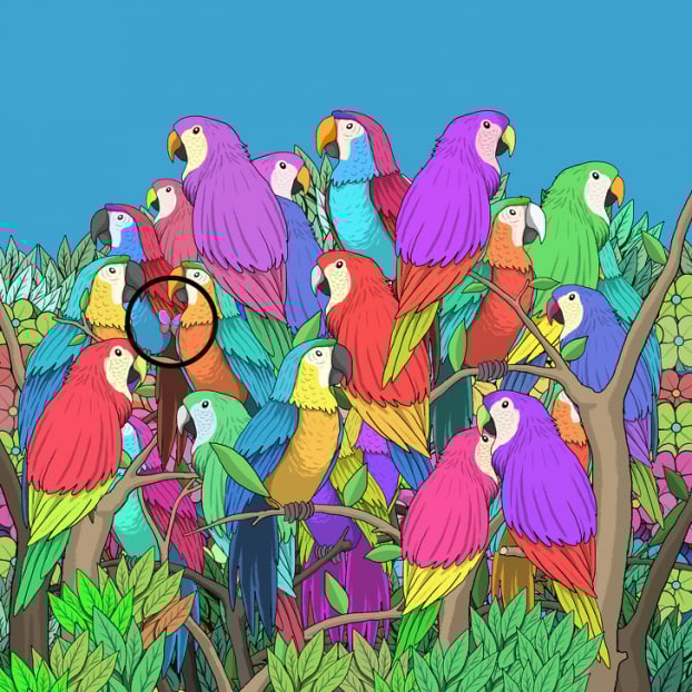 Câu đố: Tìm đồ vật bị giấu trong 15 bức tranh thử tài quan sát của bạn 20