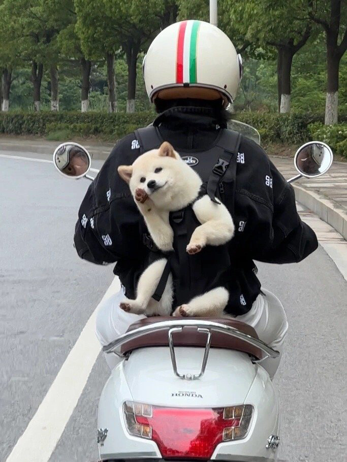 Ảnh vui 16-5: Đây là tôi mỗi khi ngồi sau xe đứa bạn thân - Ảnh 2.