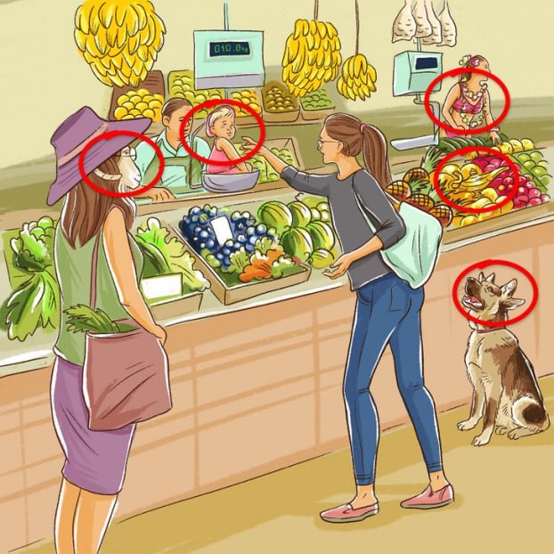 Câu đố: Tìm tất cả các chi tiết sai trong 5 bức tranh 10