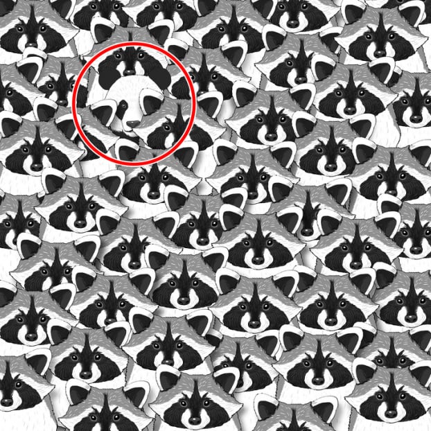 Câu đố: Tìm đồ vật bị giấu trong 15 bức tranh thử tài quan sát của bạn 29