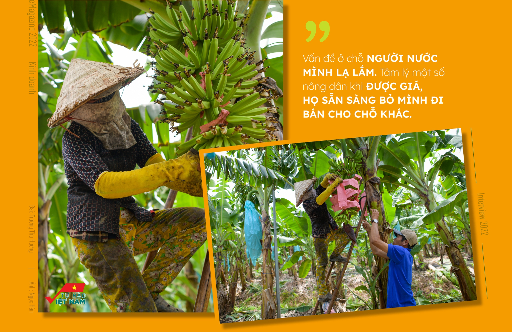 “Vua chuối” Võ Quan Huy: “Đừng đổ lỗi cho Trung Quốc” - Ảnh 6.