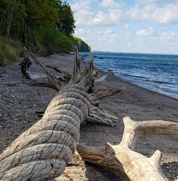 Không tin vào mắt mình trước những cảnh tượng “mẹ thiên nhiên” vô tình tạo ra, nhìn vội còn tưởng lạc sang thế giới khác - Ảnh 9.