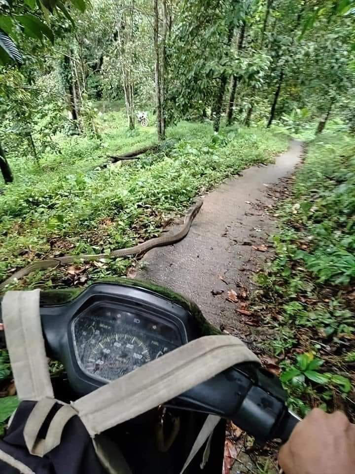 Ảnh vui 15-6: Đỗ xe kiểu người thành công - Ảnh 3.