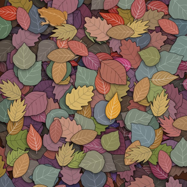 Câu đố: Tìm đồ vật bị giấu trong 15 bức tranh thử tài quan sát của bạn 11