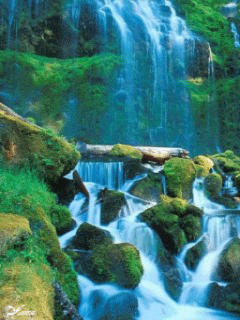 Tập Thơ Tái Ngộ Duyên Tiền Kiếp  - Page 4 42082107382a01a43d2c66a192fd9802