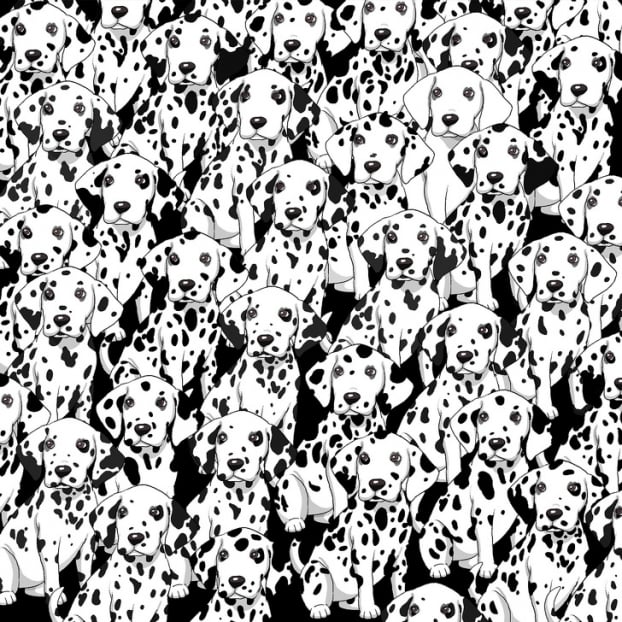 Câu đố: Tìm đồ vật bị giấu trong 15 bức tranh thử tài quan sát của bạn 6