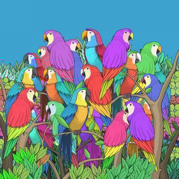 Câu đố: Tìm đồ vật bị giấu trong 15 bức tranh thử tài quan sát của bạn 5