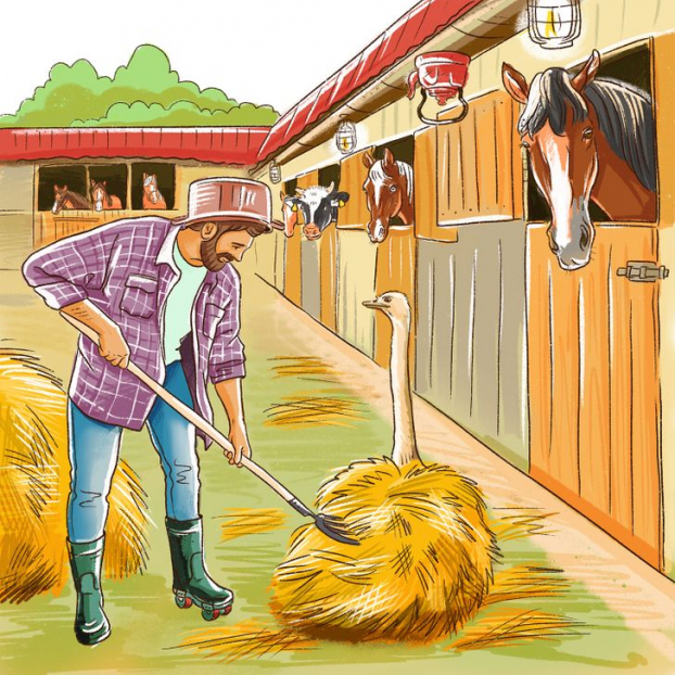 Câu đố: Tìm tất cả các chi tiết sai trong 5 bức tranh 3