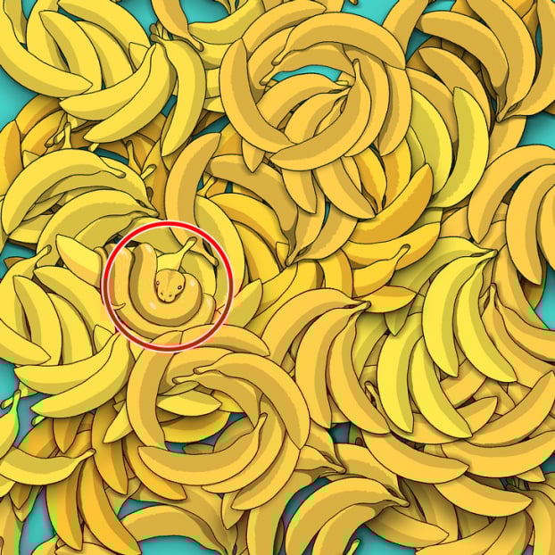 Câu đố: Tìm đồ vật bị giấu trong 15 bức tranh thử tài quan sát của bạn 22