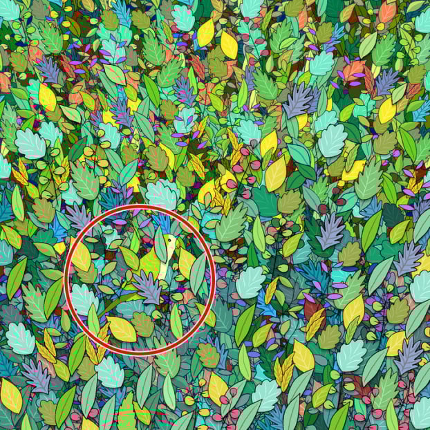 Câu đố: Tìm đồ vật bị giấu trong 15 bức tranh thử tài quan sát của bạn 15