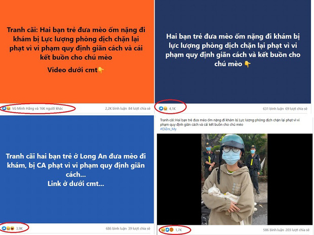 Lời gan ruột của CSGT bị tấn công trên MXH vì phạt người đưa mèo đi khám giữa lúc giãn cách - Ảnh 1.