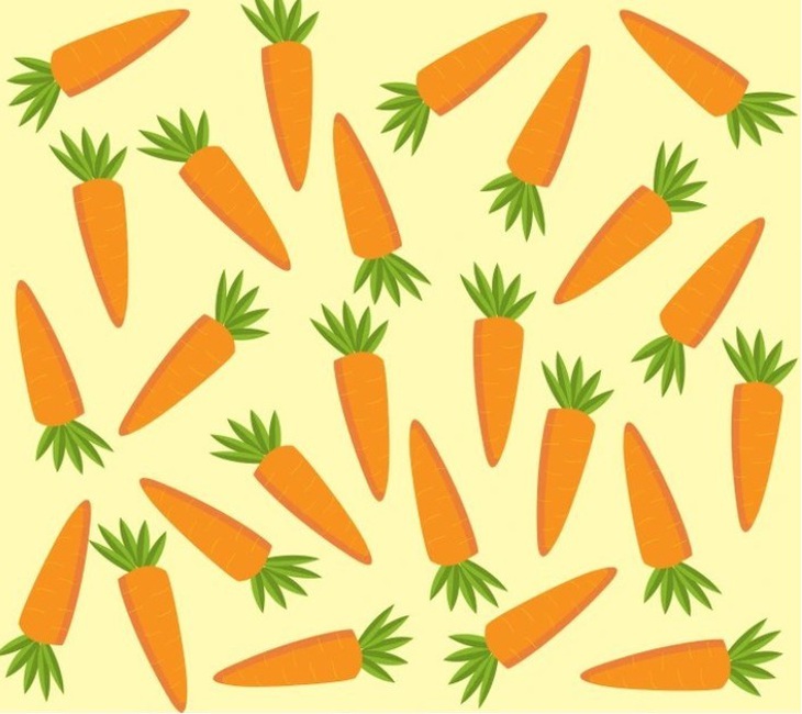 carot-1-17094488270361343700893.jpg