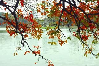 Ho-Guom-in-Hanoi-autumn.jpg