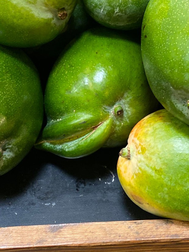 Những loại đồ ăn gắn mác “từ trên trời rơi xuống” vì hình thức quá độc lạ, bàn tay mẹ thiên nhiên quả là không đùa được đâu! - Ảnh 5.