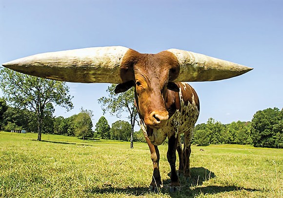 BÁO SÀI GÒN GIẢI PHÓNG