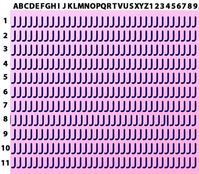 Thử tài tinh mắt: Tìm chủ nhân con ngựa trong hình - Ảnh 7.