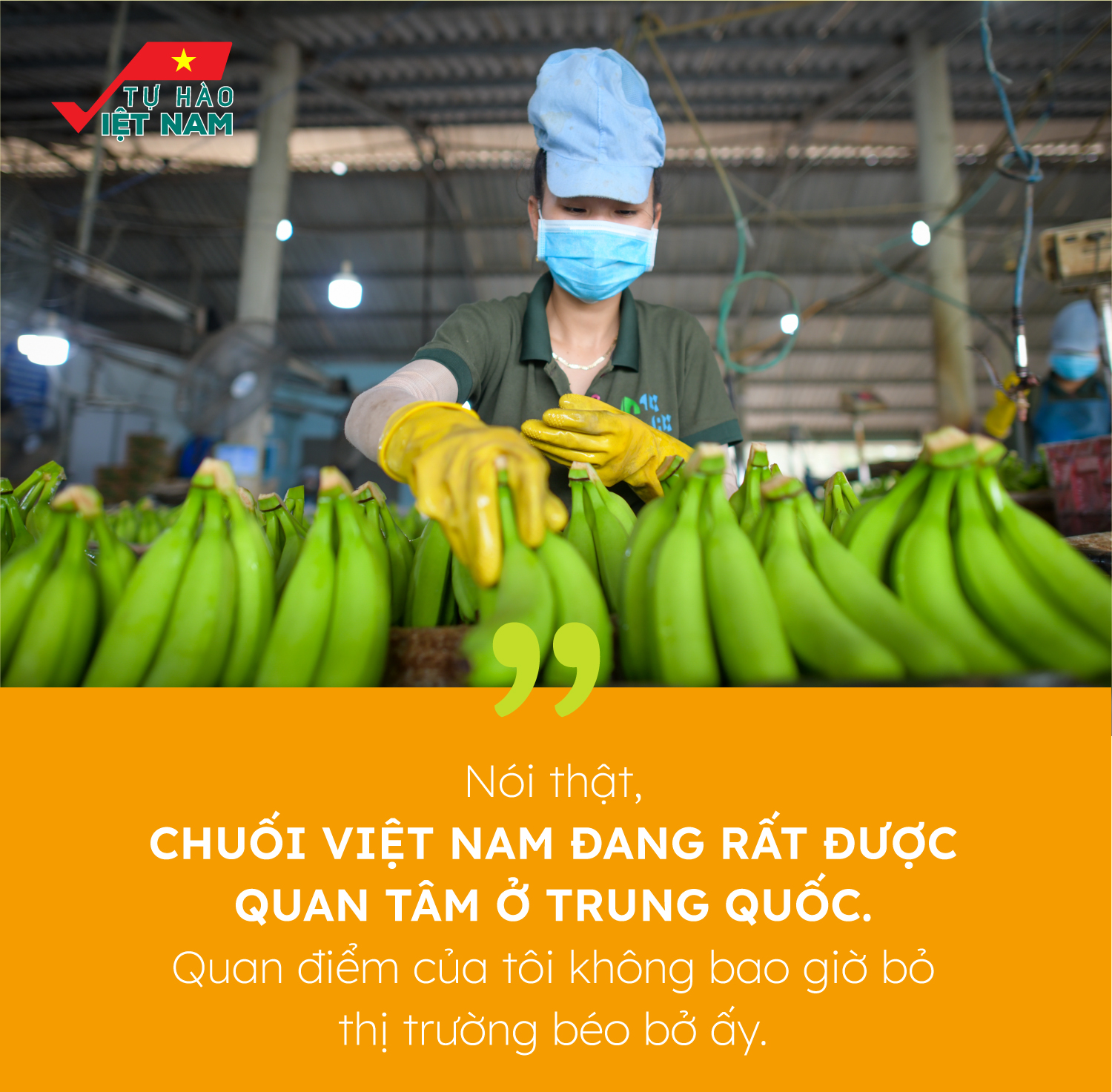 “Vua chuối” Võ Quan Huy: “Đừng đổ lỗi cho Trung Quốc” - Ảnh 4.