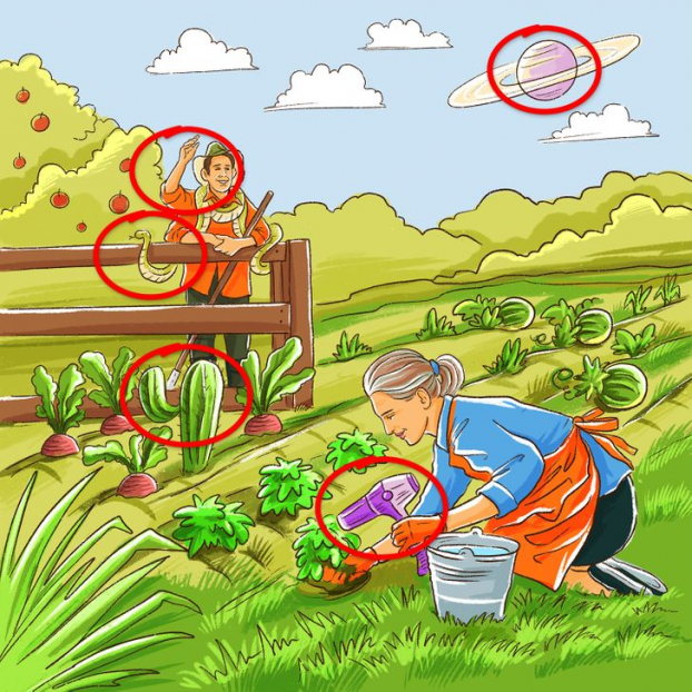 Thử tài tinh mắt: Tìm lỗi sai trong các bức tranh 5