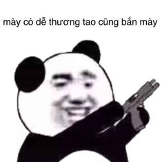 350 Gấu trúc weibo- meme ngộ ý tưởng trong 2021 | gấu trúc, hài hước, gấu