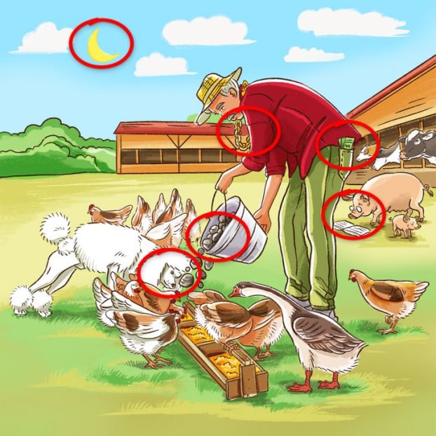 Câu đố: Tìm tất cả các chi tiết sai trong 5 bức tranh 6