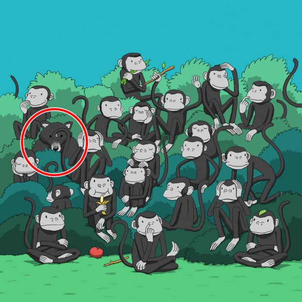 Câu đố: Tìm đồ vật bị giấu trong 15 bức tranh thử tài quan sát của bạn 17